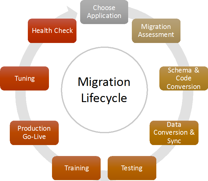 https://triumphoid.com/wp-content/uploads/2025/12/migration-lifecycle.png